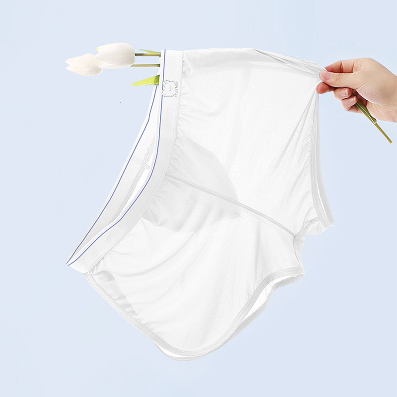Muške bokserice od Ice Silk, iznimno tanke, prozračne mrežaste