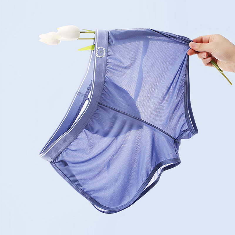 Muške bokserice od Ice Silk, iznimno tanke, prozračne mrežaste