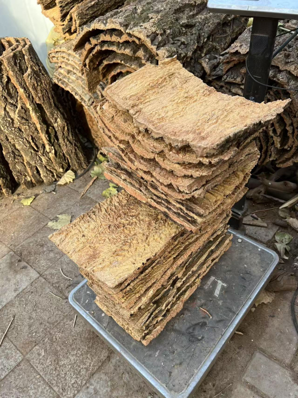 Champagne kora bonsai dekor: prava kora s gornjom pluta pločom za orhideje, dendrobije i paprati; skloništa za gmizavce i ukrasi za akvarij uz zadržavanje vode