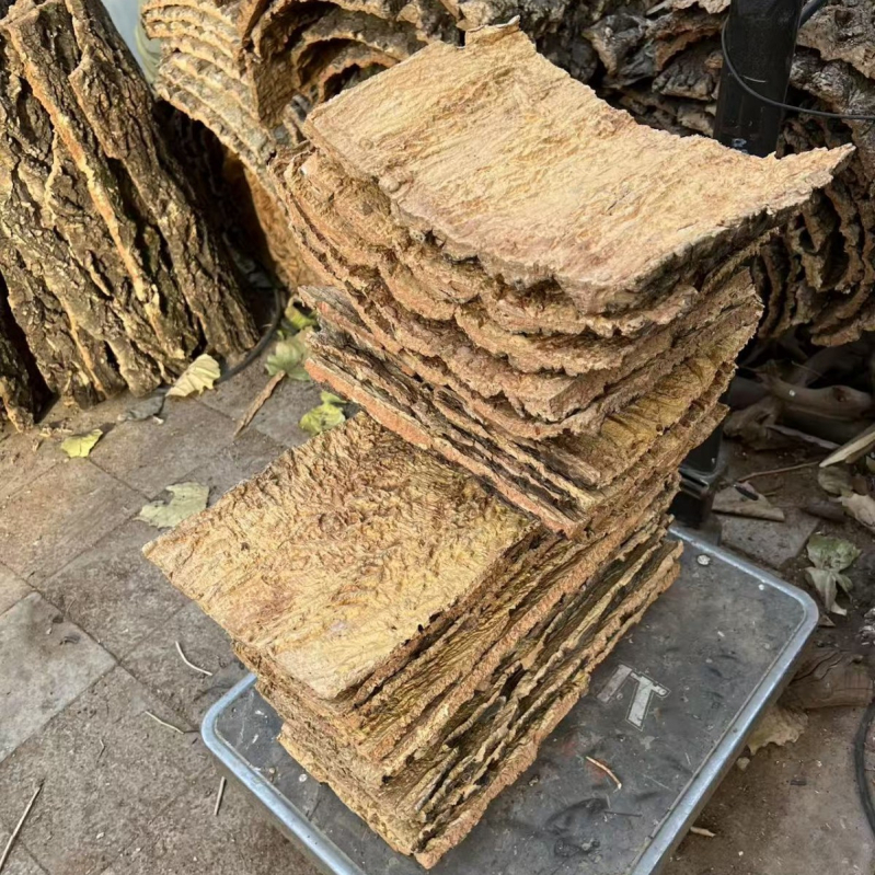 Champagne kora bonsai dekor: prava kora s gornjom pluta pločom za orhideje, dendrobije i paprati; skloništa za gmizavce i ukrasi za akvarij uz zadržavanje vode