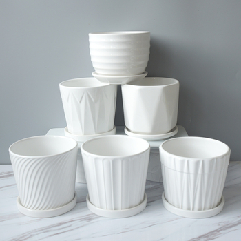 Ghiveci ceramic cu farfurie pentru birou și balcon, pentru suculente, cu dungi albe, suport pentru plante