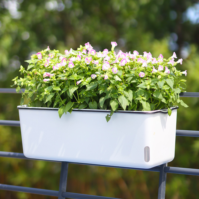 Ghiveci suspendat dreptunghiular pentru legume, pentru balcon, design lung pentru cultivarea legumelor