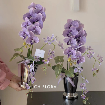 Ghiveci ceramic pentru Phalaenopsis orchidă, stil nordic, pentru birou sau amenajare acasă, durabil și rezistent la deformări