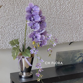 Ghiveci ceramic pentru Phalaenopsis orchidă, stil nordic, pentru birou sau amenajare acasă, durabil și rezistent la deformări