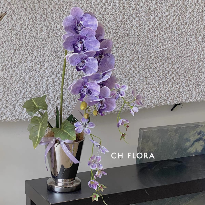 Ghiveci ceramic pentru Phalaenopsis orchidă, stil nordic, pentru birou sau amenajare acasă, durabil și rezistent la deformări