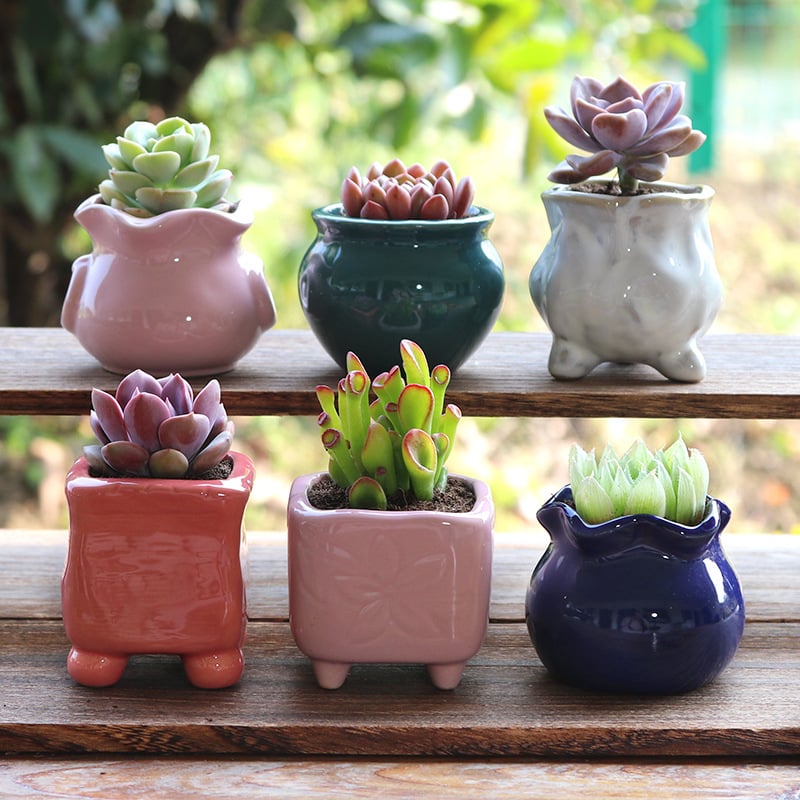 Ghiveci ceramic pentru suculente, mini, lucrat manual, glazură de cuptor unică