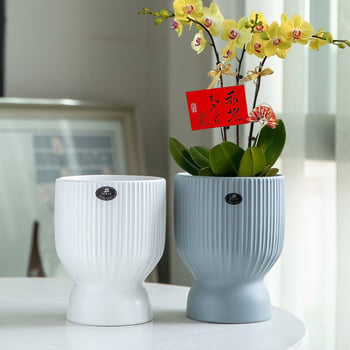 Ghiveci ceramic, design nordic minimalist, pentru casă și birou; potrivit pentru arborele banilor și orchidă Phalaenopsis; vază creativă, personalizabilă pentru plante verzi