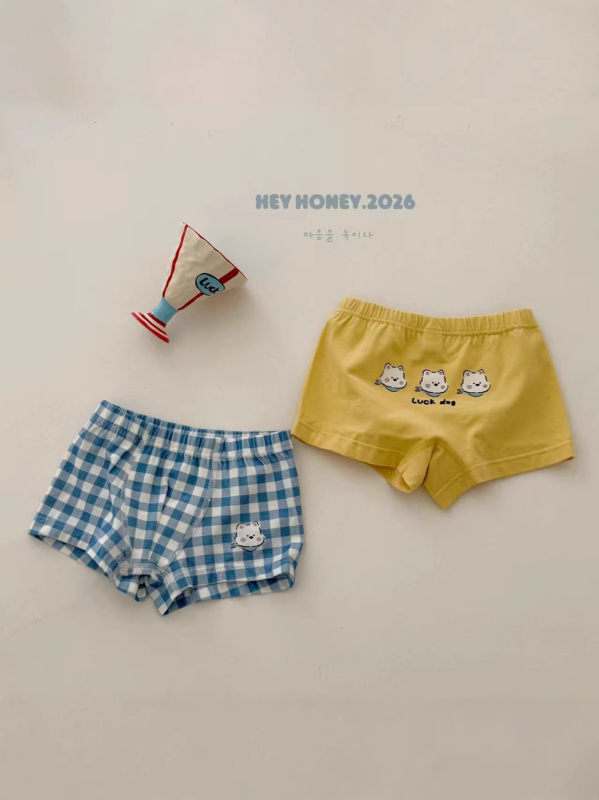 Chiloți din bumbac pentru copii, set de două piese, imprimeu cu personaje desen animate, Hey Honey26, pentru băieți și fete, vară.