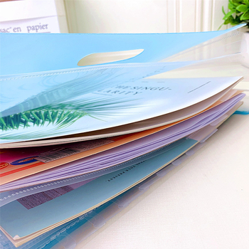 Organizator de fișiere cu acordeon pentru birou, 13 secțiuni, 6 buzunare, PP material