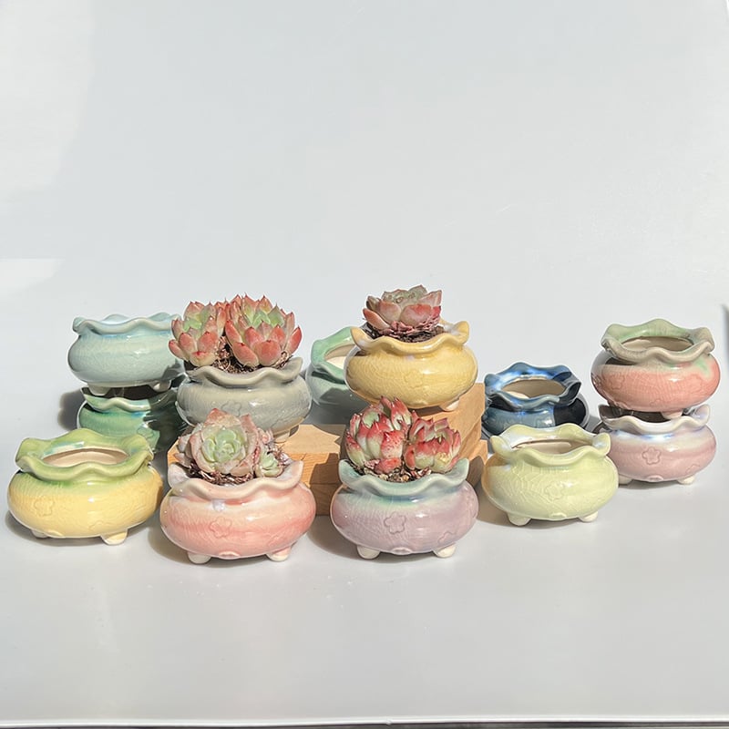 Vas ceramic nou pentru flori, cu gradient glazurat și efect de crăpare, pentru suculente