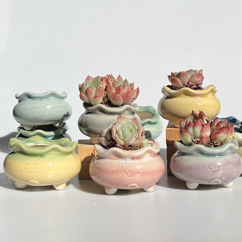 Vas ceramic nou pentru flori, cu gradient glazurat și efect de crăpare, pentru suculente