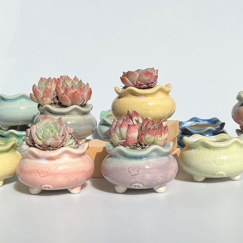 Vas ceramic nou pentru flori, cu gradient glazurat și efect de crăpare, pentru suculente