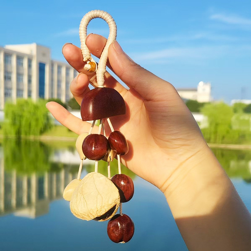 DIY set za privjesak za torbu od ljuske oraščića i zvončić vjetra