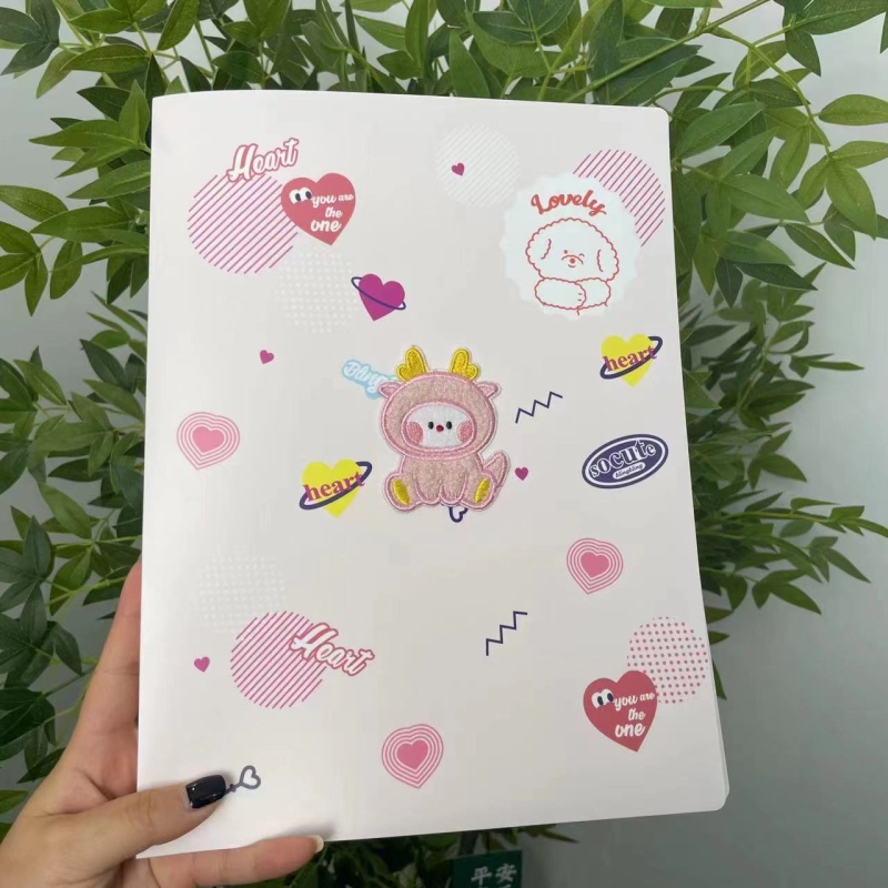 DIY Longbao Album de stocare a rapoartelor de sarcină – Organizator de documente cu fermoar mat pentru viitoare mămici