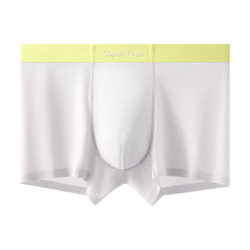 Muške ultra tanke boxer gaćice od Ice Silk, bezšivne, nude nijanse, udobne i prozračne