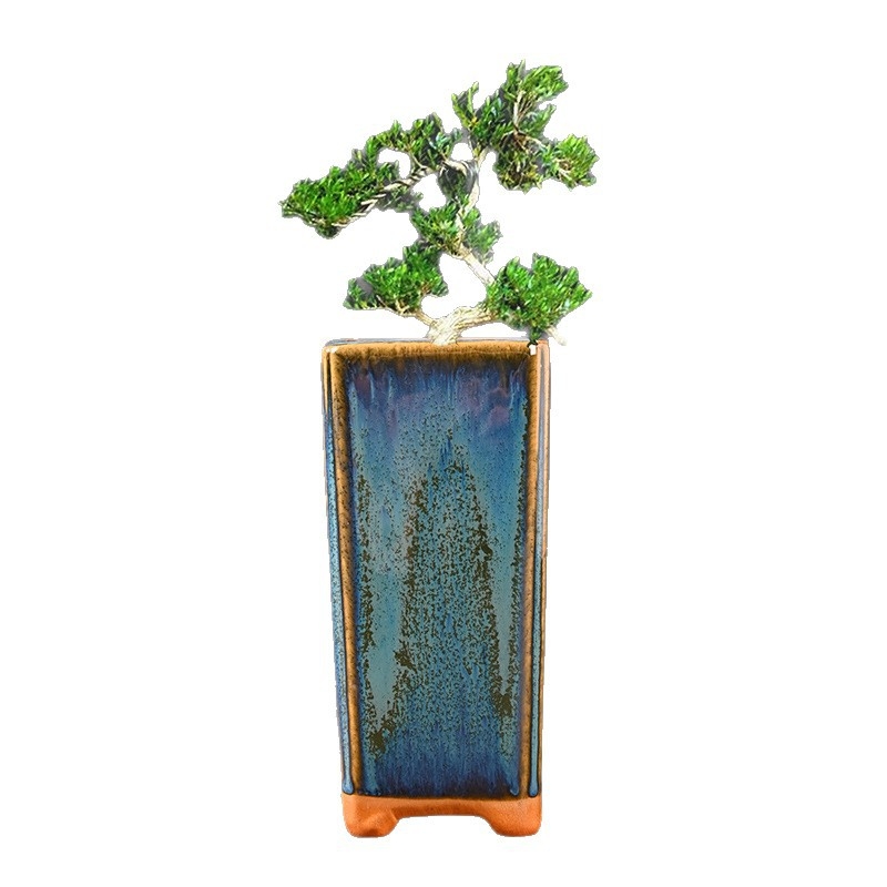 Ghiveci ceramic Galaxy pentru suculente, pentru casă și balcon, compact, cu control al rădăcinilor, ceramică brută