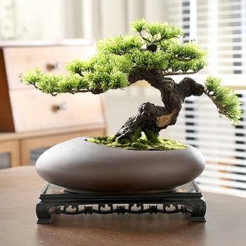 Vas ceramic pentru orchidă bonsai, diametru mare, respirabil, lucrat manual, ars cu gaz, stil nordic, pentru masă.