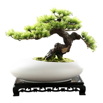 Vas ceramic pentru orchidă bonsai, diametru mare, respirabil, lucrat manual, ars cu gaz, stil nordic, pentru masă.