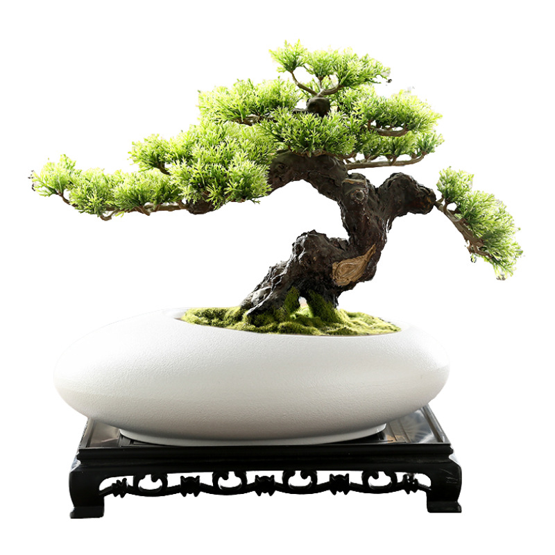 Vas ceramic pentru orchidă bonsai, diametru mare, respirabil, lucrat manual, ars cu gaz, stil nordic, pentru masă.