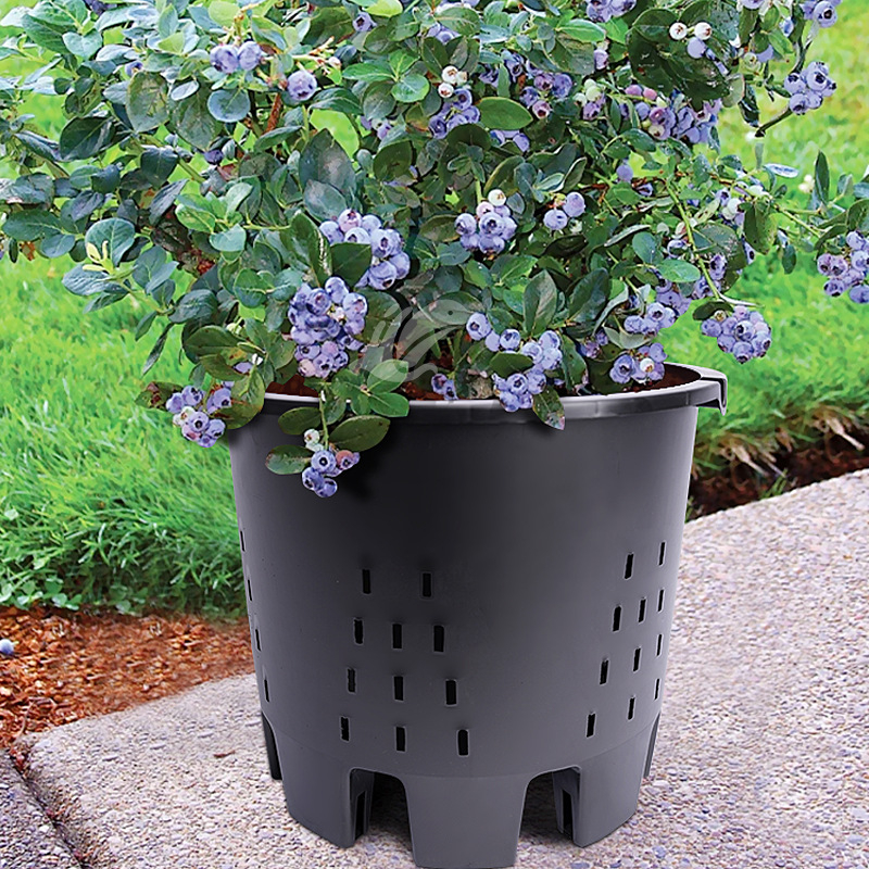 Ghiveci special pentru cultivarea afinei, din plastic, rășină îngroșată, pătrat, controlul rădăcinilor, respirabil, pentru plante verzi și flori, disponibil în dimensiuni mari, medii și mici.