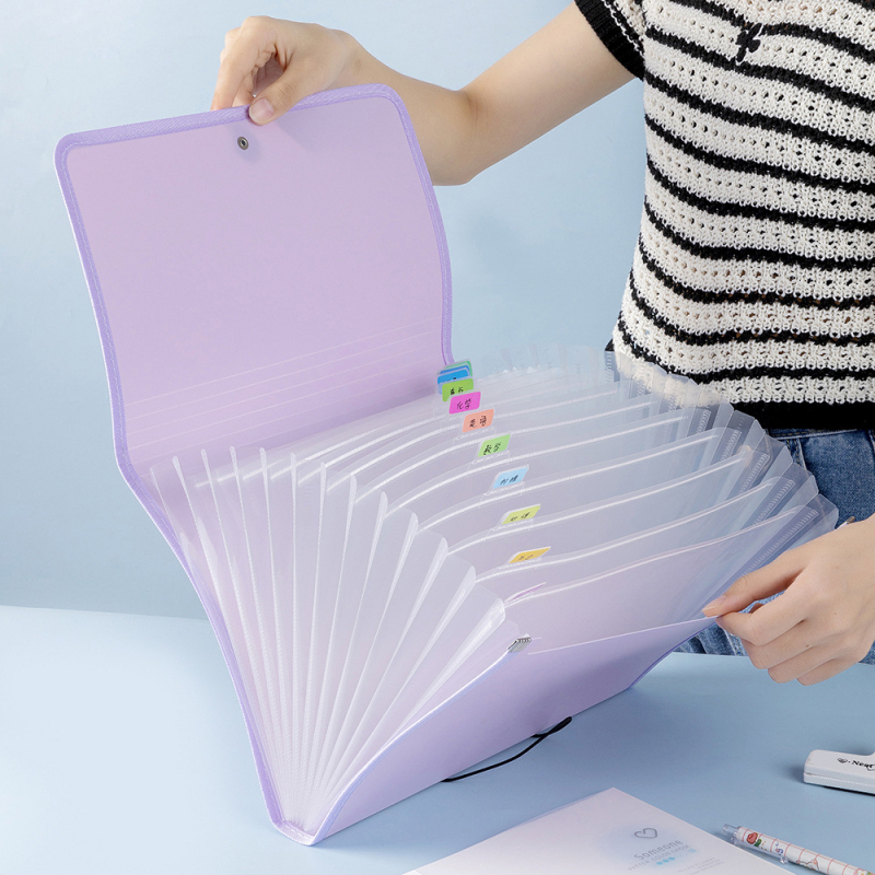 Organizator A4 pentru foi de teste și fișiere de învățare, husă de cărți, dosar acordeon pentru elevi