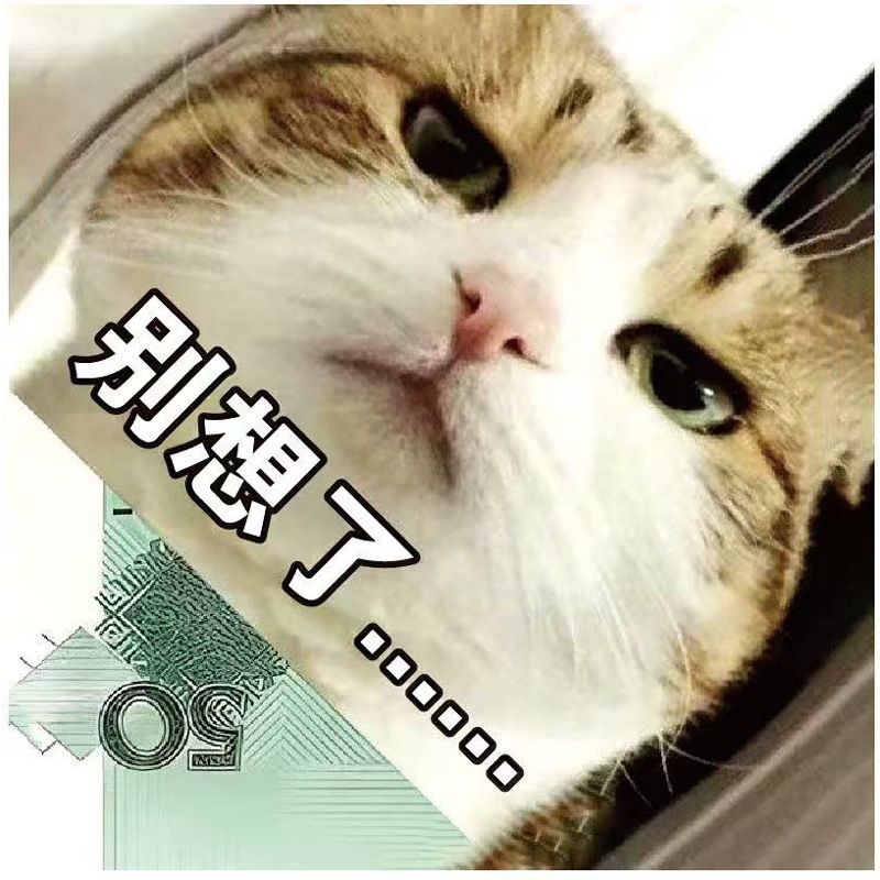 Ziua păcălelilor de 1 aprilie: semn de carte cu câine 2D, foi de notițe, stil anime, design abstract de nișă