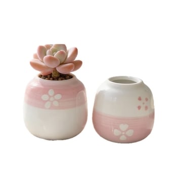 Vas ceramic pentru suculente, rotund, pictat manual, decor de birou, bonsai pe trunchi vechi