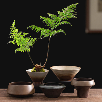 Vas hidroponic din ceramică neporeză pentru plante verzi, mușchi și ferigi — decor de birou interior