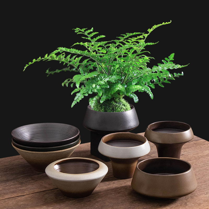 Vas hidroponic din ceramică neporeză pentru plante verzi, mușchi și ferigi — decor de birou interior