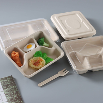 Cutie de prânz de unică folosință, cu patru compartimente, din pulpă de hârtie, ambalaj take-out ecologic, de înaltă calitate