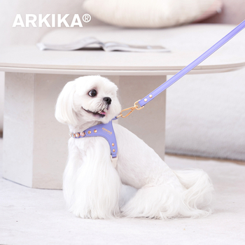 Arkika kožni prsluk i uzica za male pse: Maltezer, Teddy, Bichon Frisé, Šnauzer — za vanjske šetnje