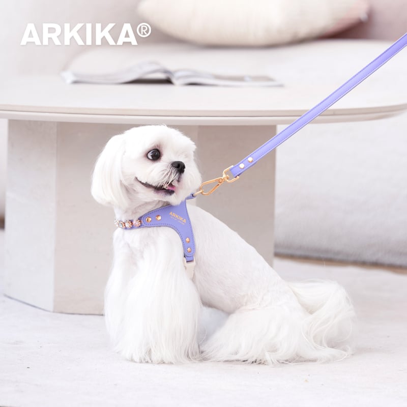 Arkika kožni prsluk i uzica za male pse: Maltezer, Teddy, Bichon Frisé, Šnauzer — za vanjske šetnje