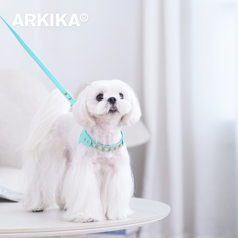 Arkika kožni prsluk i uzica za male pse: Maltezer, Teddy, Bichon Frisé, Šnauzer — za vanjske šetnje