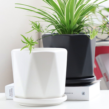 Ghiveci ceramic, alb mat, cu tavă neagră, stil nordic, design creativ pentru plante verzi (mari și mici)