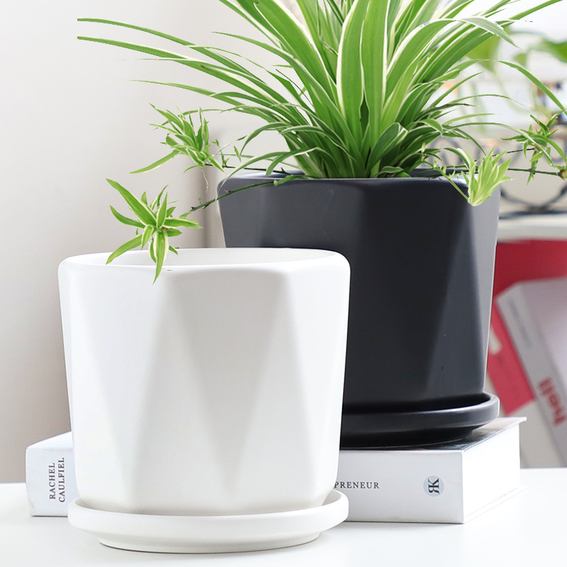 Ghiveci ceramic, alb mat, cu tavă neagră, stil nordic, design creativ pentru plante verzi (mari și mici)