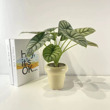 Ghiveci ceramic pentru orhidee, alb, stil minimalist crem, lux, mic
