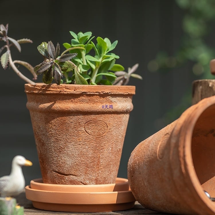 Ghiveci din lut roșu, ceramic poros, respirabil, absoarbe apa pentru rădăcini, pentru suculente și plante verzi, stil retro