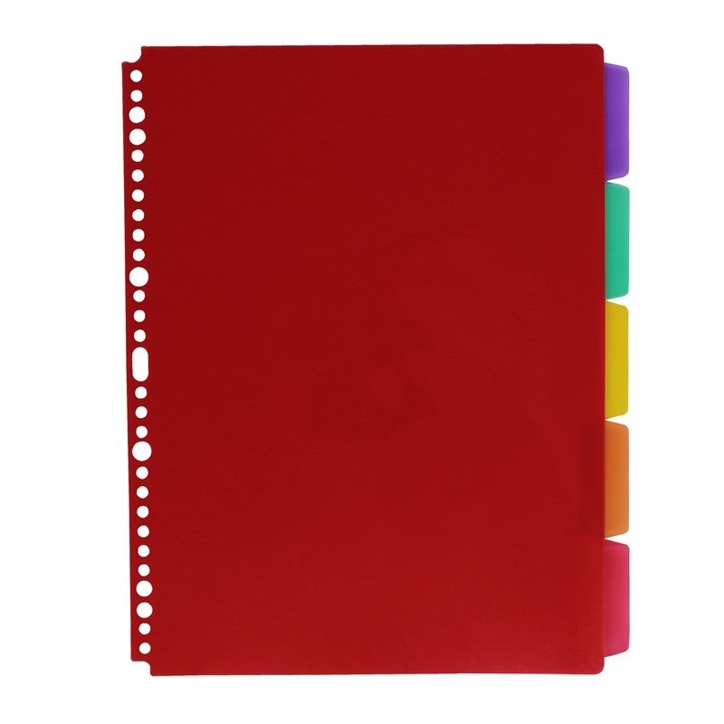 Dosar transparent cu inel D, patru găuri, format A4, cu inserții pentru copertă