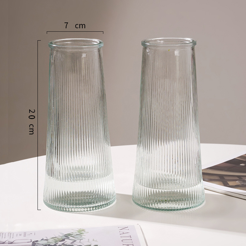 Set din două piese: vaze din sticlă în stil scandinav, mari, transparente, pentru creșterea în apă a bambusului norocos în living