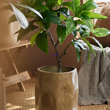 Ghiveci retro pentru plante - vază de podea mare pentru Monstera deliciosa și Pasărea paradisului