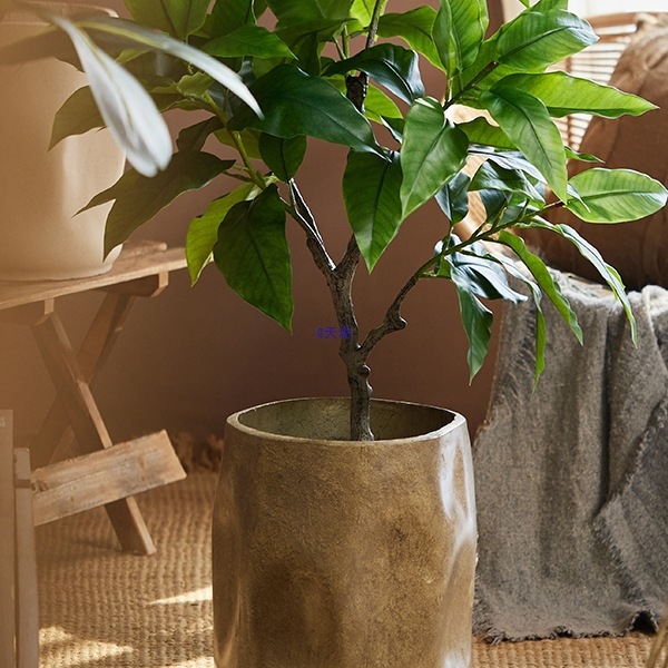 Ghiveci retro pentru plante - vază de podea mare pentru Monstera deliciosa și Pasărea paradisului