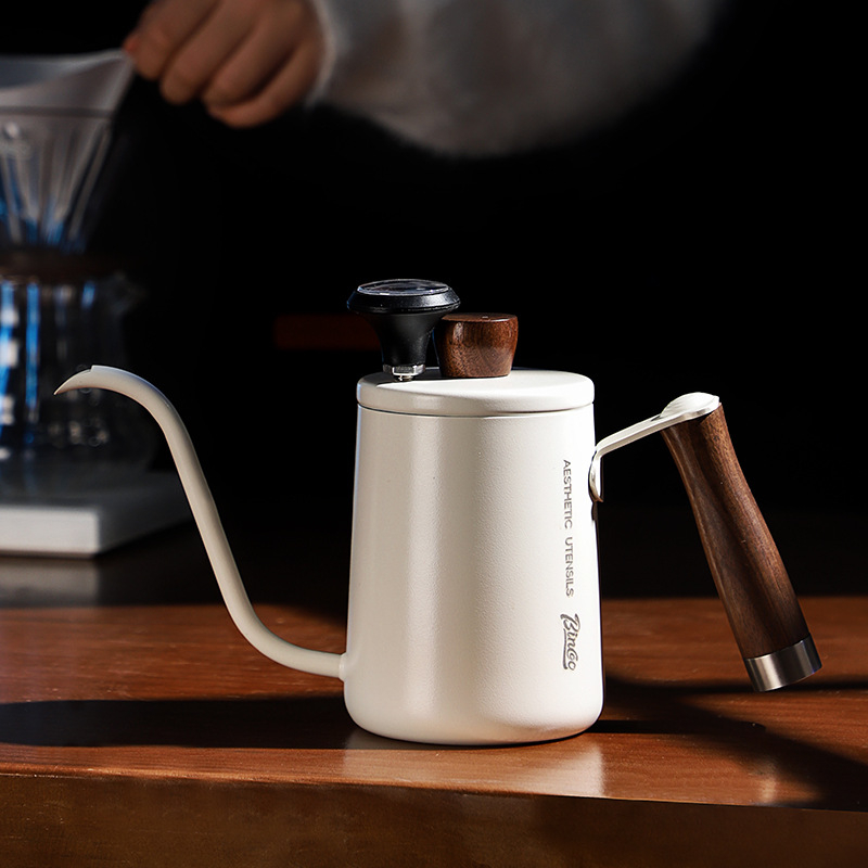 Bincoo Ceainic pour-over compact, portabil, din oțel inoxidabil, gură îngustă, cioc lung
