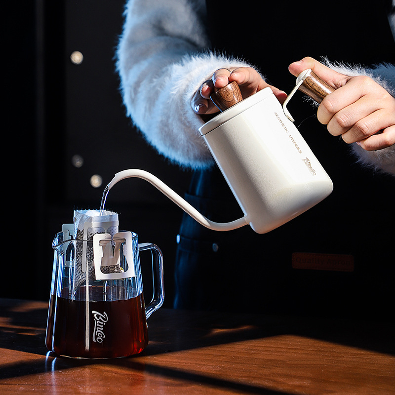 Bincoo Ceainic pour-over compact, portabil, din oțel inoxidabil, gură îngustă, cioc lung