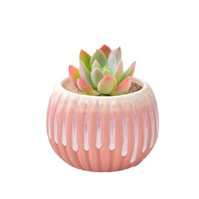 Ghiveci ceramic pentru suculente, glazură lucioasă, stil minimalist rustic, mic ghiveci de birou