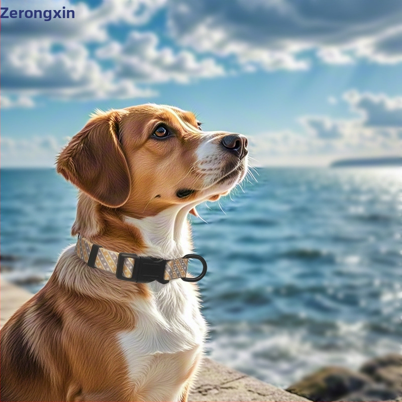 Vytlačený obojok a vodítko pre psy, nastaviteľné, od malých po veľkých, roztomilý štýl