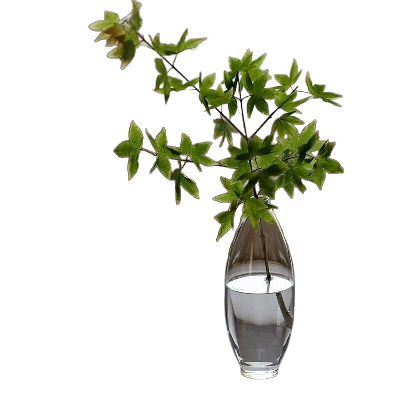 Sticlă pentru ceai verde, infuzie la rece și fierbinte, manuală, sticlă groasă rezistentă la căldură, vază, stil Nordic, set ceai cu condensare