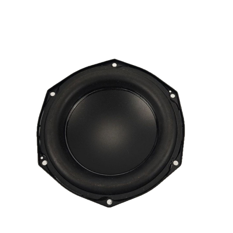 Boombox4 zvučnik, promjera 5,5 inča, 4 Ω, 50 W, vodootporan, PP konus, okrugli bas zvučnik