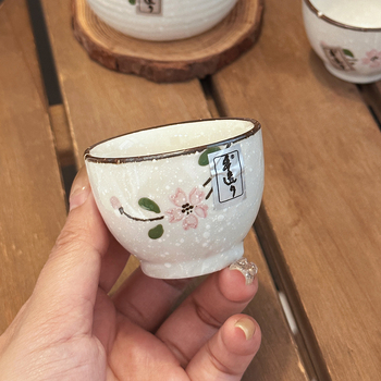 Set de sake în stil japonez, cu o oală și două pahare, recipient ceramic cu flori de cireș, pictat manual, într-o cutie cadou