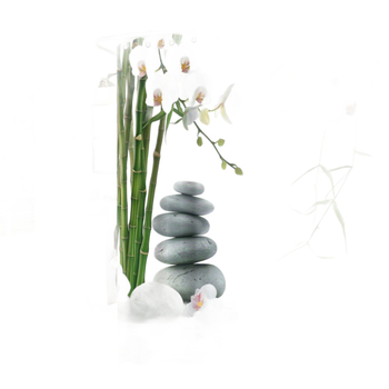 Curtină de duș Zen Stone Orchid, temă florală pastorală, potrivită pentru utilizare pe tot timpul anului, din poliester, lavabilă la mașină, include 12 cârlige