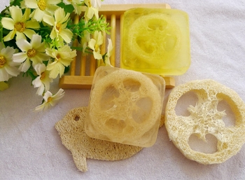 Set săpun cu loofah: suport săpun, cutie pentru săpun și floare de săpun